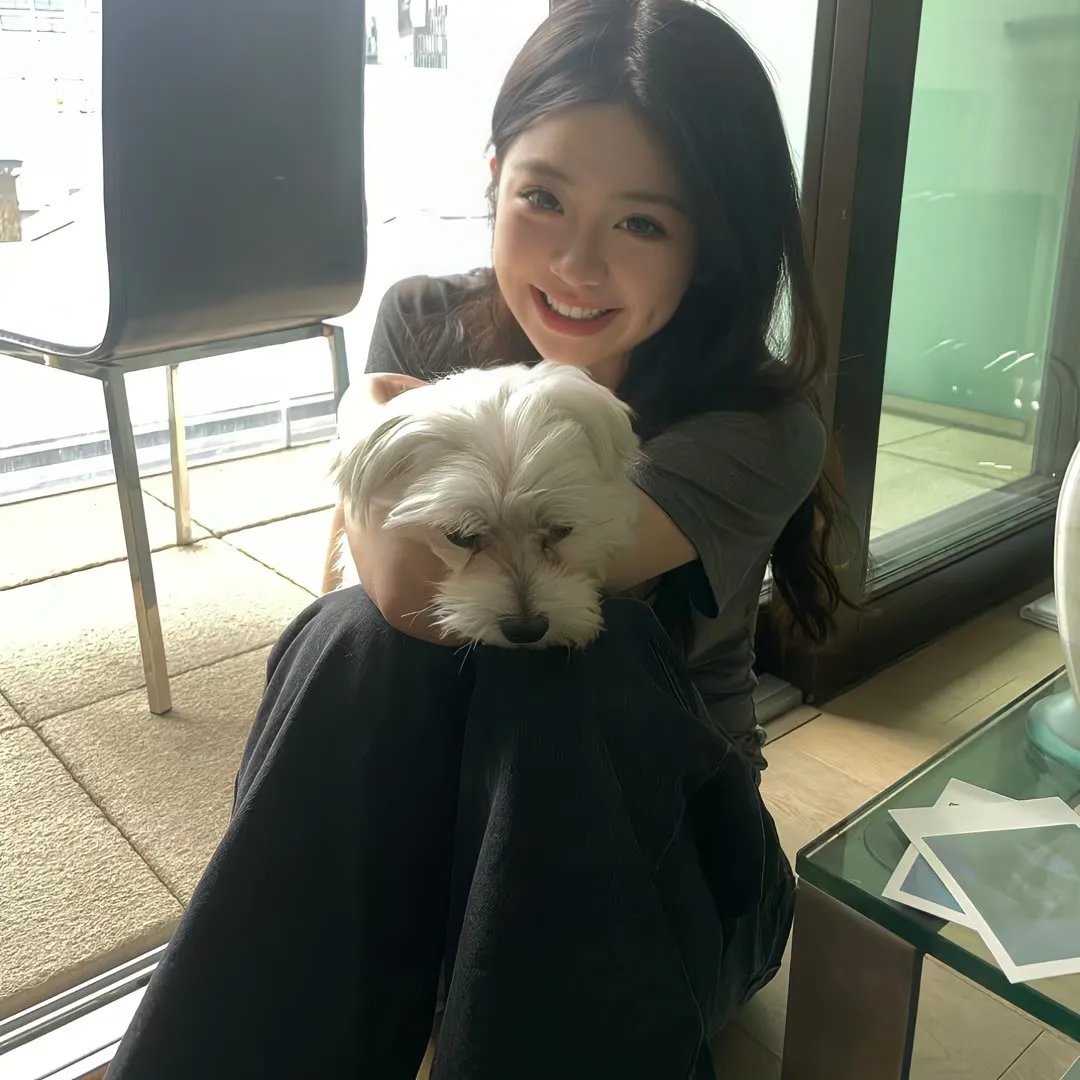 重生之山河社稷图